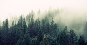 Outdoors, Mission, TX, Spikes Ford