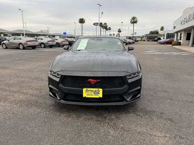 2024 Ford Mustang EcoBoost