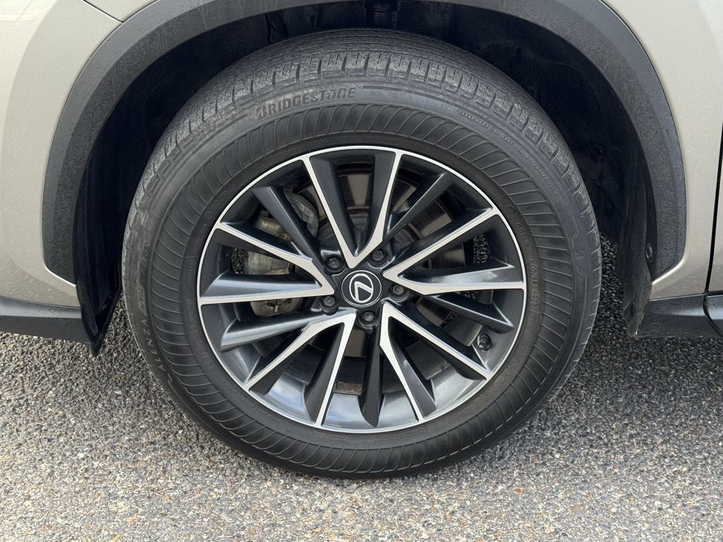 2024 Lexus NX 250 Premium