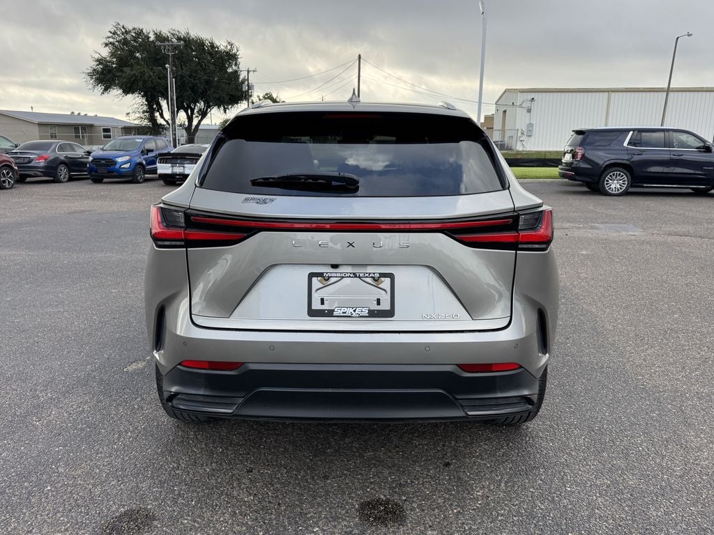 2024 Lexus NX 250 Premium